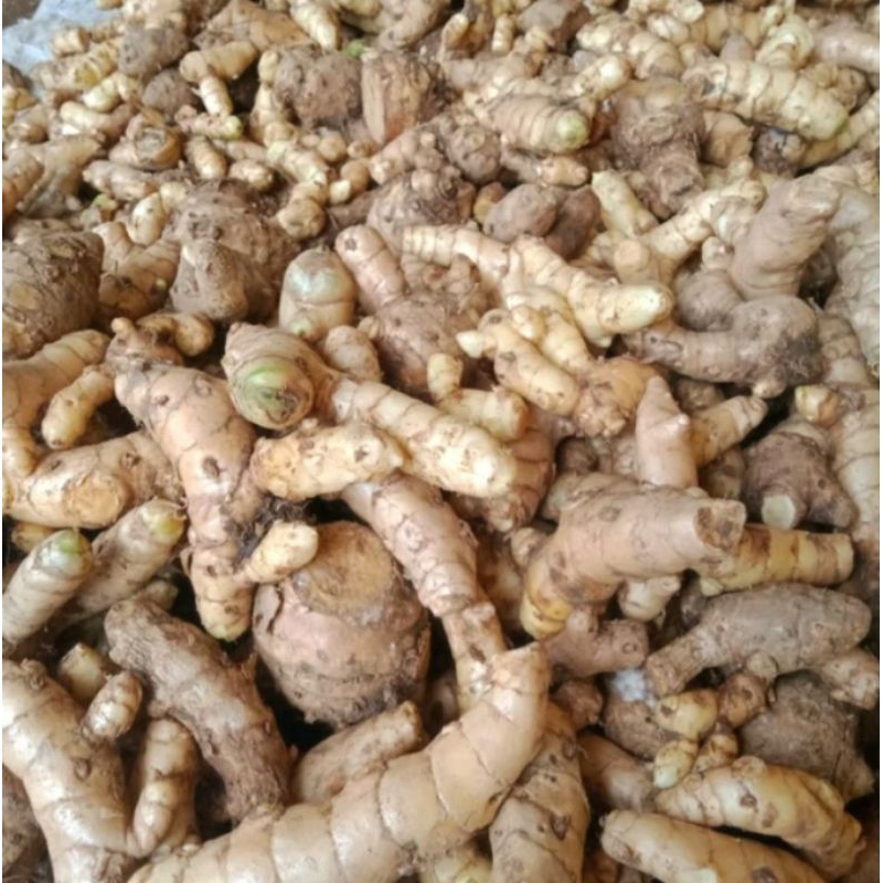 

1kg Temu putih / kunyit putih obat herbal alami fres