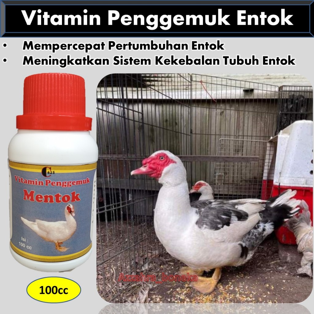 Vitamin Entok Cepat Besar / Vitamin Entok Jumbo / Vitamin Entok / Vitamin Entok Cepat Bertelur