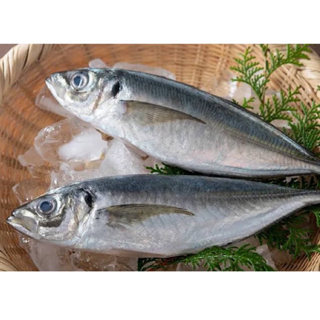

ikan kembung 1kg premium