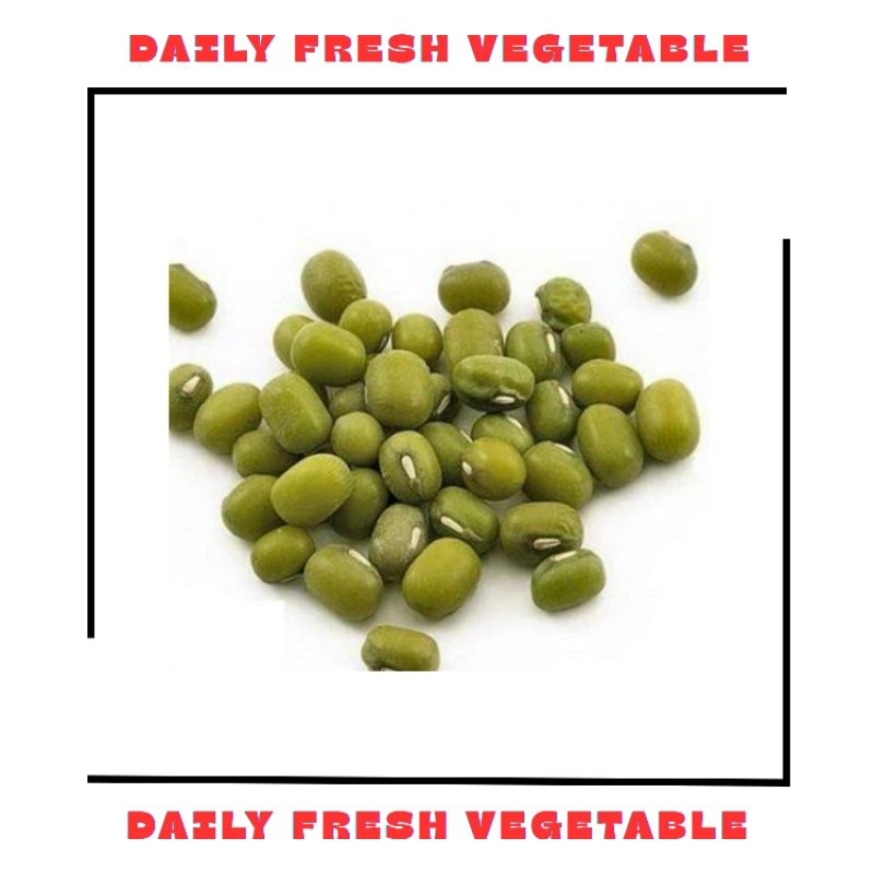 

Kacang Hijau Fresh 250gr