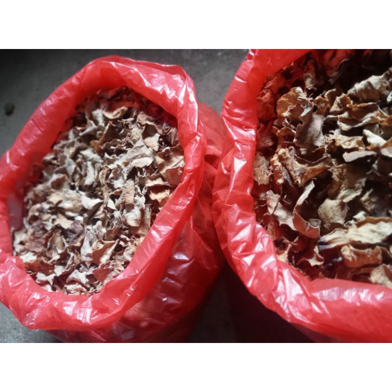 

Sayur Kulit Pangi Kering Baru