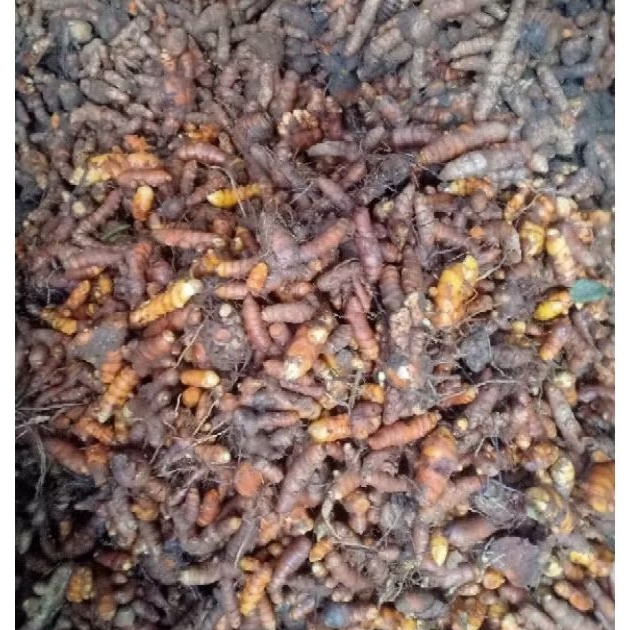 

Kurkuma kunyit 250gr herbal