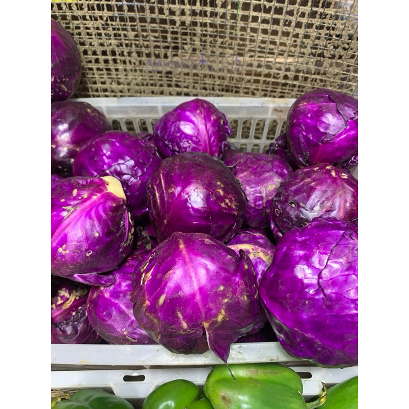 

Kol / Kubis Ungu Lokal