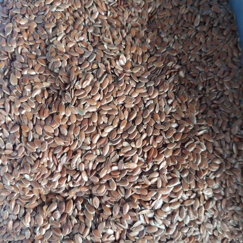

50gr Brown Flaxseed Biji Rami