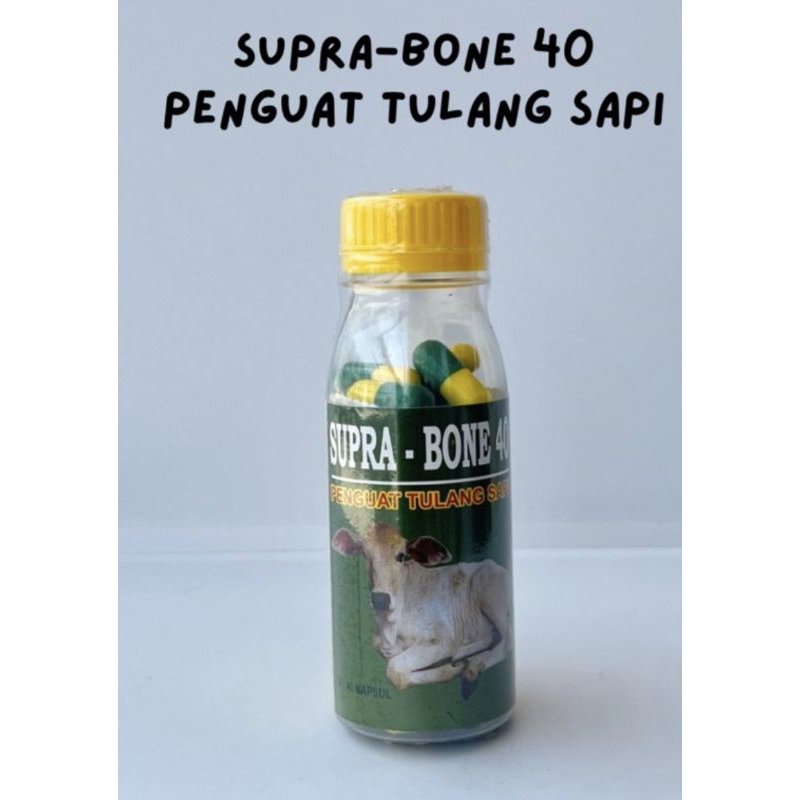 Supra bone Kaspul obat penguat tulang ruminansia sapi kambing dll (lumpuh pincang ndeprok)