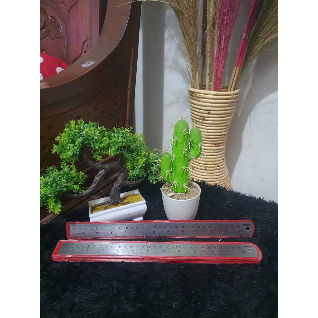 Kenko Penggaris Besi 30 cm