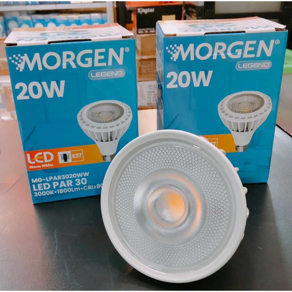 MORGEN LAMPU LED PAR 30 20W COB LAMPU SOROT PAR 30 MORGEN