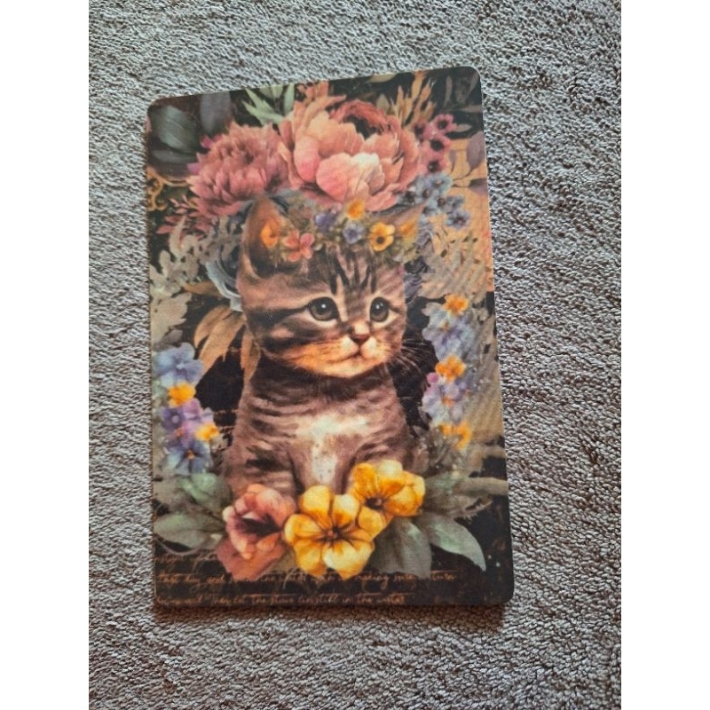 

kartu Pos kucing/cat postcard