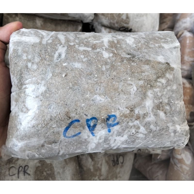 

Ikan Giling CPR (Campuran) / Ikan Hitam Berat 1000 Gram