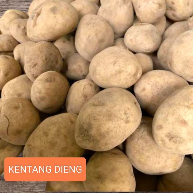 

KENTANG DIENG 1 KG