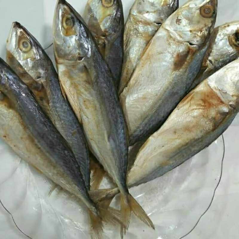 

ikan asin peda cilacap