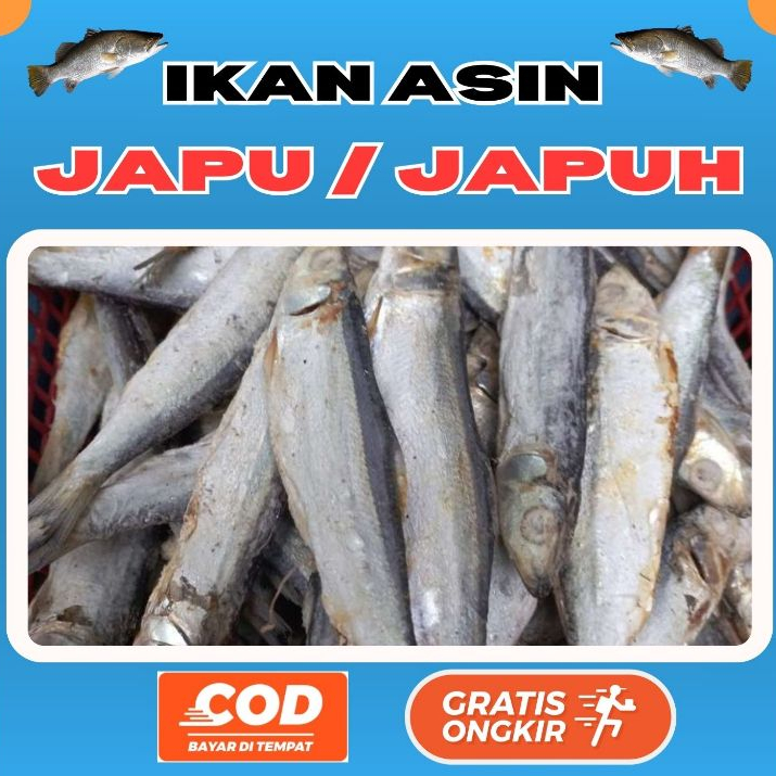 

[Kemasan Vakum] Ikan Asin Japuh Japu 250gr 500gr 1kg BEST SELLER