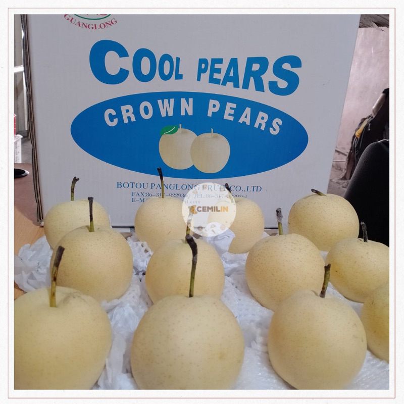 

Buah Pear Century Manis Dus Karton Impor ±17Kg