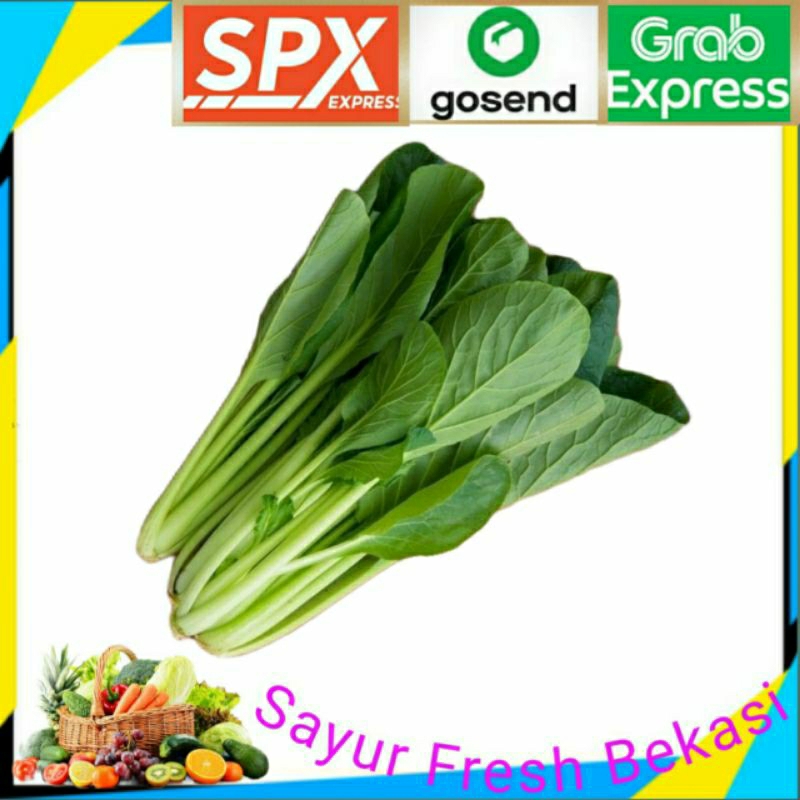 

Sawi Ceisin/Sawi Hijau 250g.