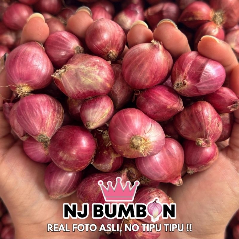 Bawang Merah Super 500gr | Brambang Brebes | Fresh Langsung Dari Petani