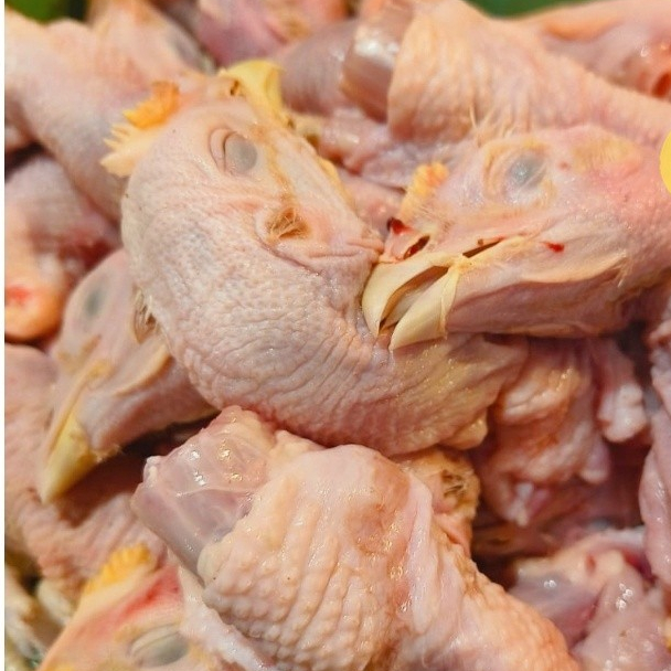 

Kepala Ayam (500gr) Fresh Frozen BRKAH