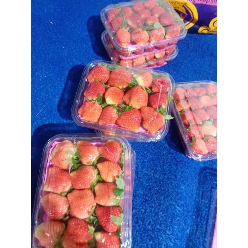 

strawberry jumbo 500gr