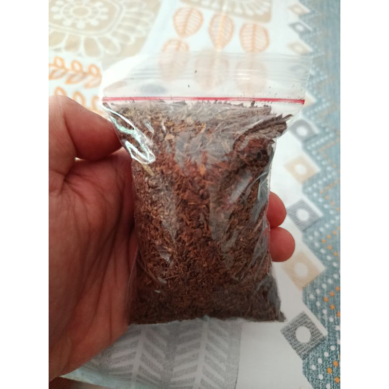 

cengkeh lokas asli
