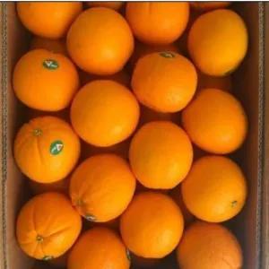 

Jeruk sunkist Navel 900-1000g