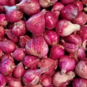 

BAWANG MERAH