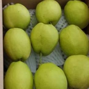 

pear Xiang lie 1000g
