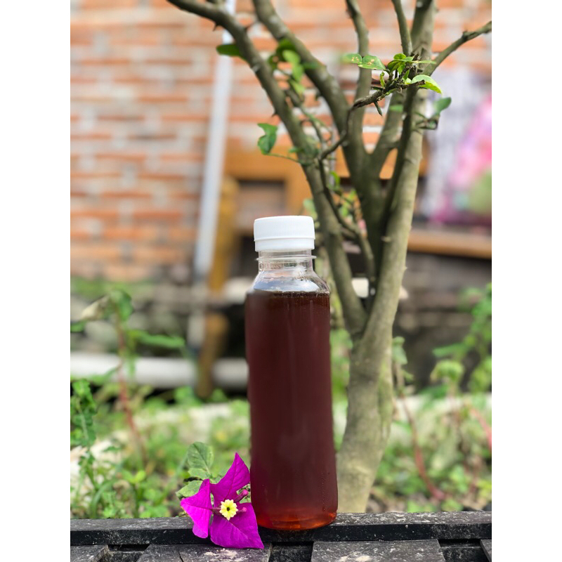 

Madu Asli Hutan Pekanbaru