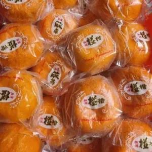 

jeruk ponkam Mandarin