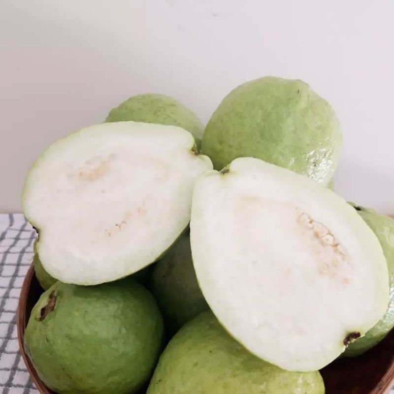 

Jambu Kristal Jumbo 5kg. /kg isi 3-4 buah Jambu. BERGARANSI