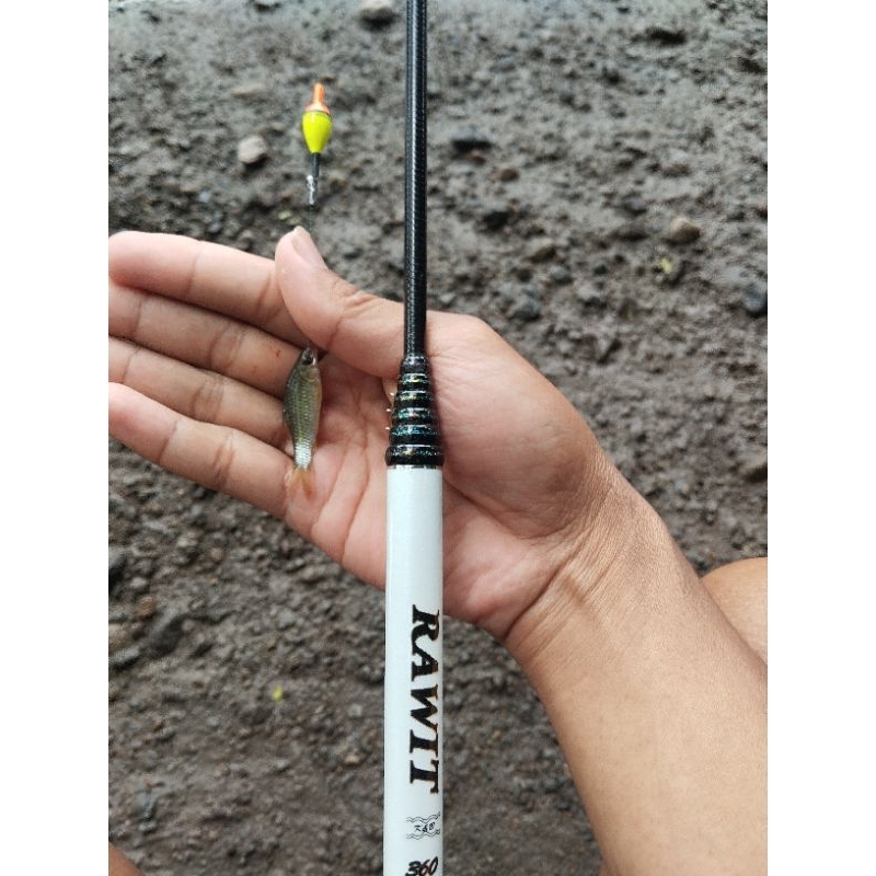 Oregon RAWIT 360 CUSTOM