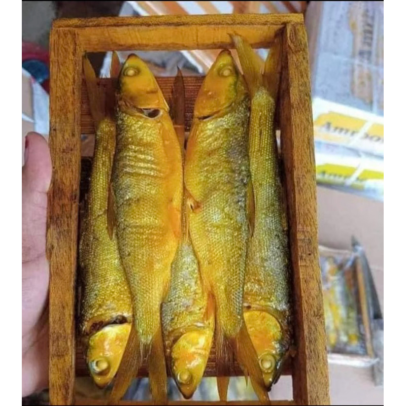

BANDENG PRESTO 1 KILO ISI 5-6 EKOR