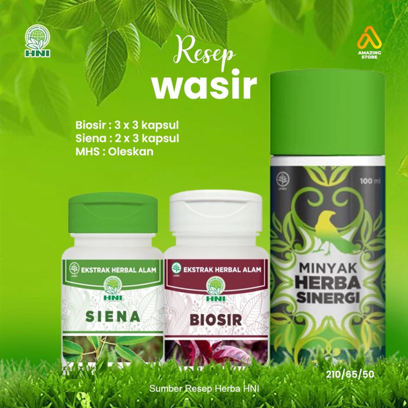 

Paket herbal wasir hni
