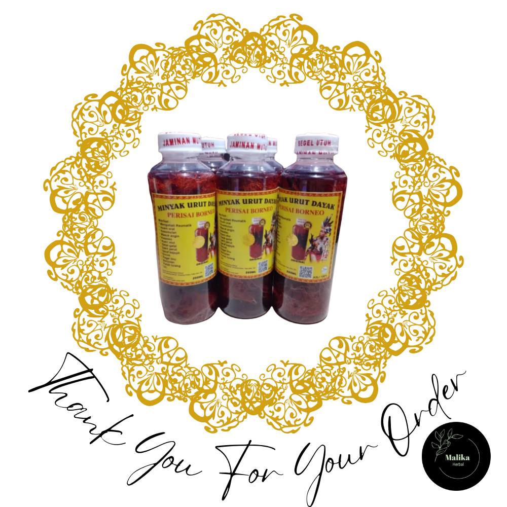 MINYAK URUT DAYAK BORNEO (ASLI KALIMANTAN)