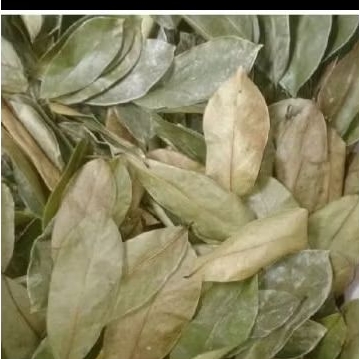 

promo Daun sirsak kering 250 gr