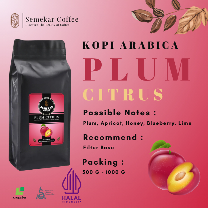 

Semekar Coffee - Plum Citrus Kopi Carbonic Fermentation Process Roasted Beans - 500G & 1000G