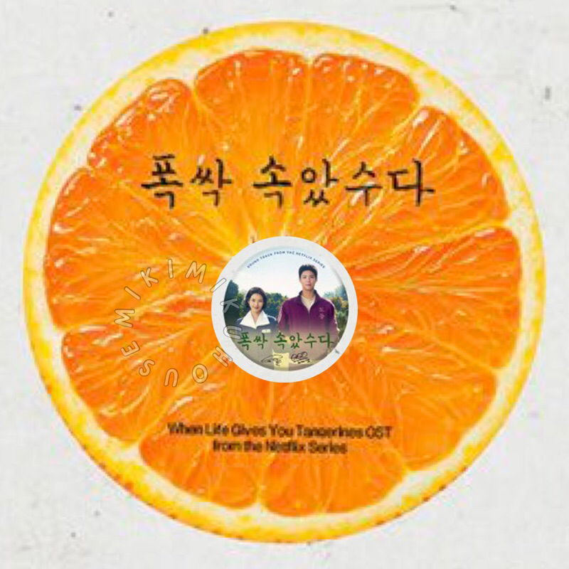 WHEN LIFE GIVES YOU TANGERINES OST ALBUM PARK BO GUM IU ALBUM O.S.T DRAMA KOREA PARK BOGUM PHOTOCARD