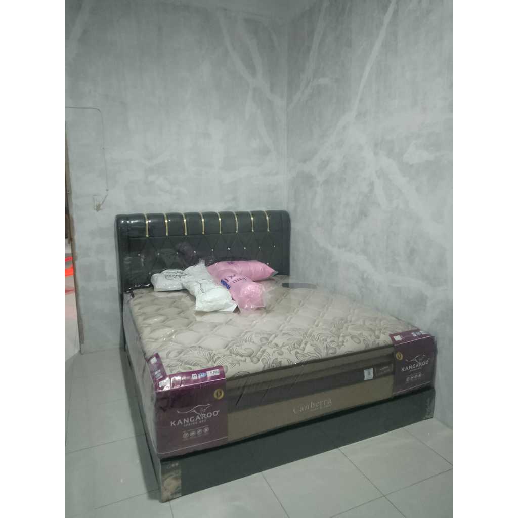 Springbed Kangaroo Canberra