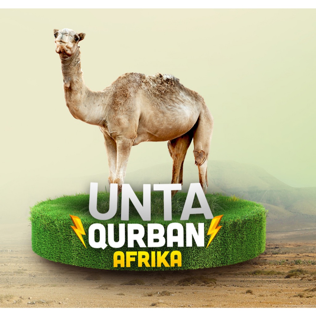 BMH-Qurban Unta Afrika