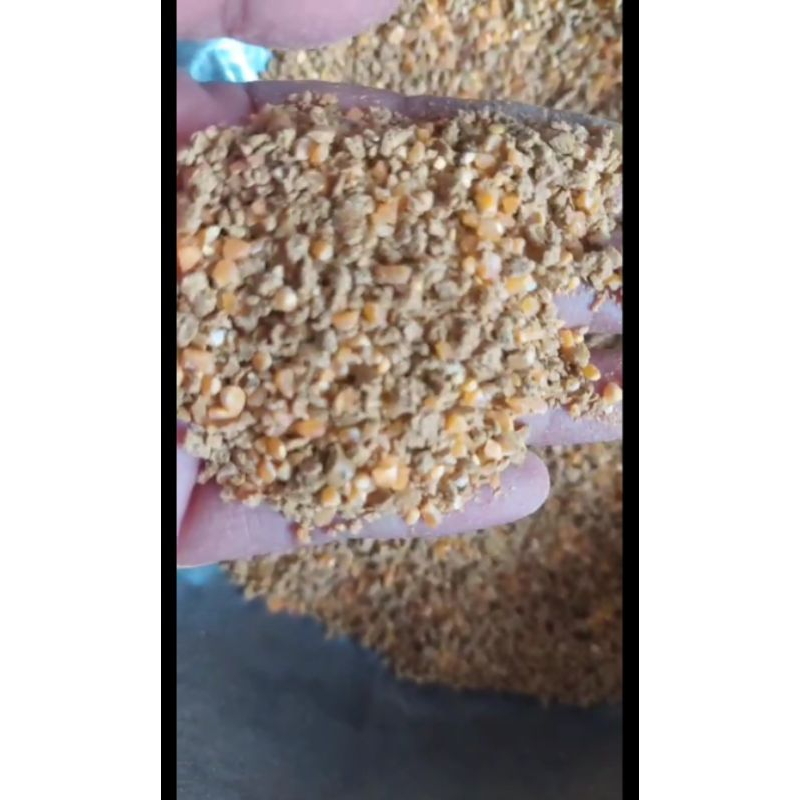 pakan  ayam petelur pohkpan 50kg