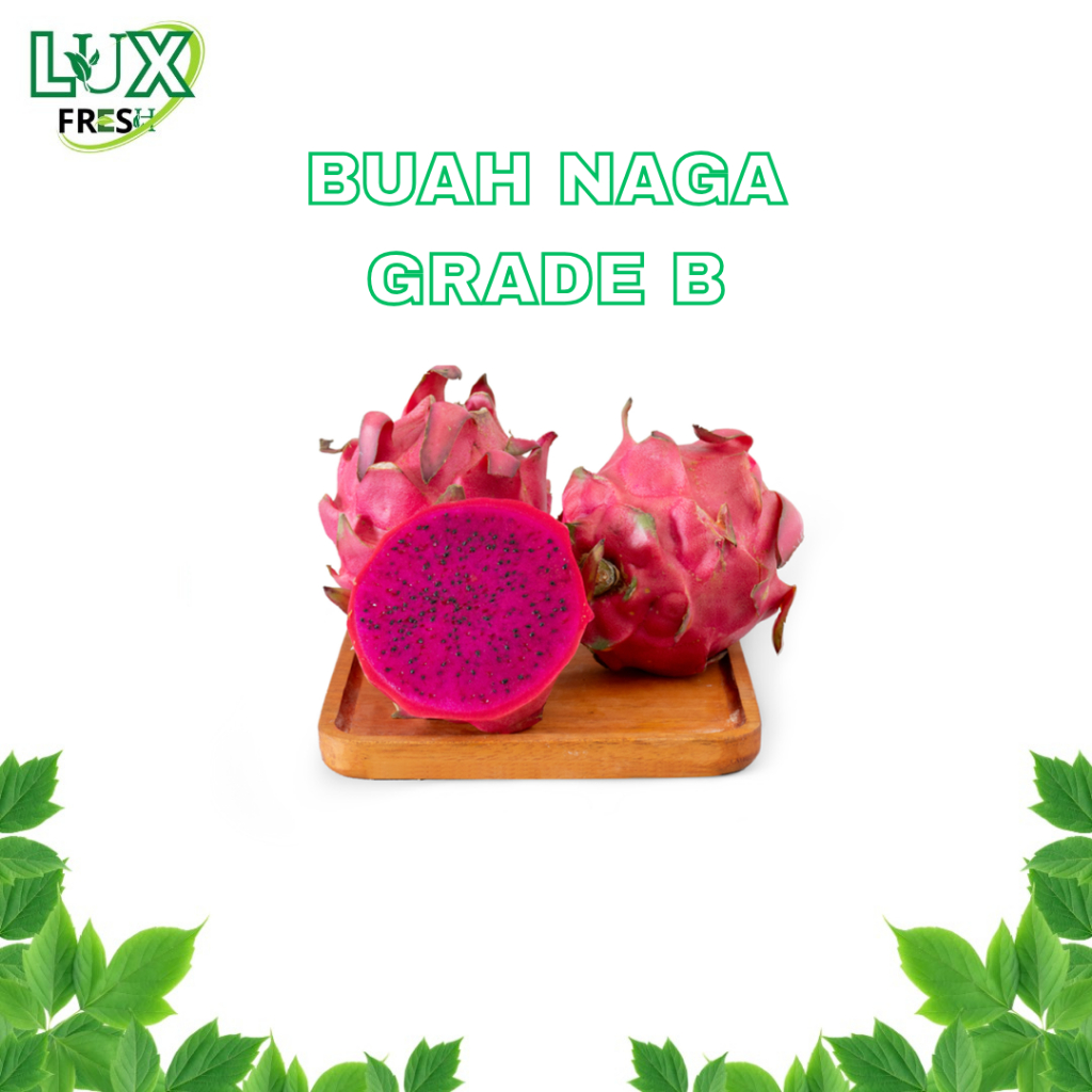 

BUAH NAGA 500 GRAM DAN 1 KG SEGAR DAN BERKUALITAS