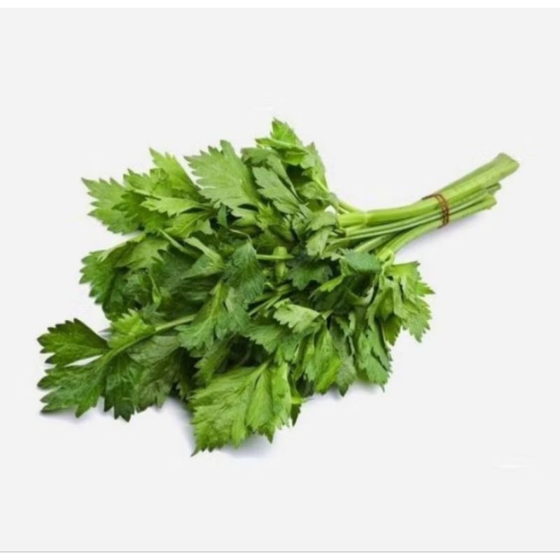 

daun seledri segar 250gr
