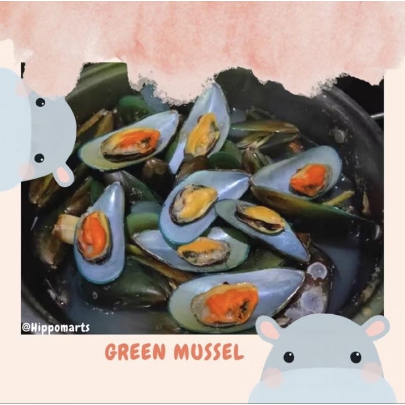 

KERANG HIJAU / Green Mussel