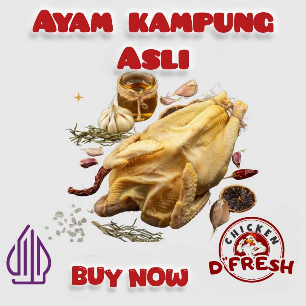 

ayam kampung asli 1ekor sama kepala sayap
