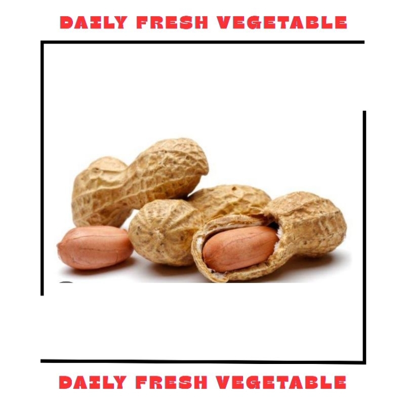 

Kacang Tanah Kulit Mentah Fresh 1Kg