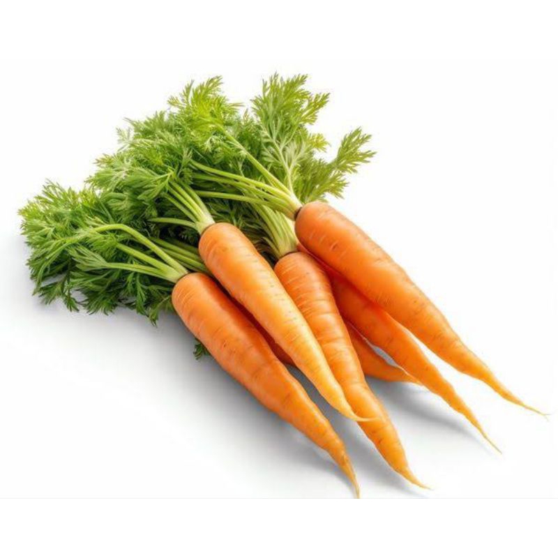 baby wortel 500gr-1kg