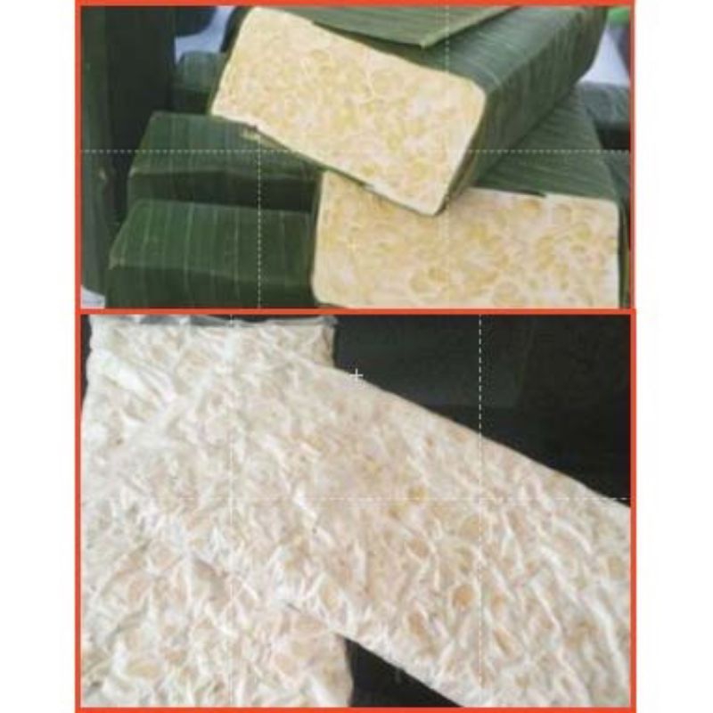 

TEMPE DAUN/PLASTIK per papan 7500