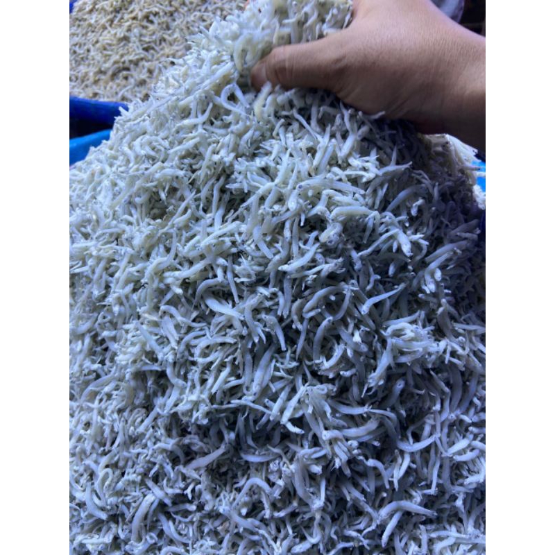 

Teri nasi Medan premium grade A