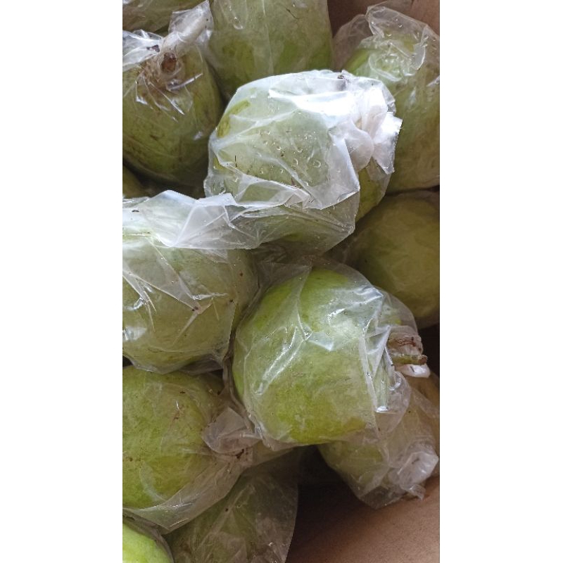 

jambu kristal fresh grade A super 1/2 kg