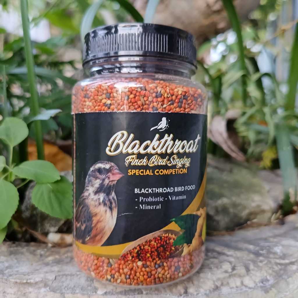 Pakan Natural Blackthroat Spesial Compotion alami penambah durasi gacor burung Blackthroat Sanger Mo