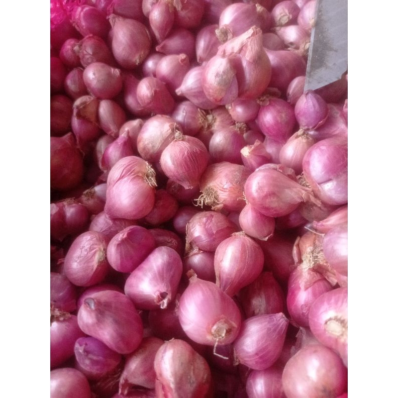 

Bawang merah