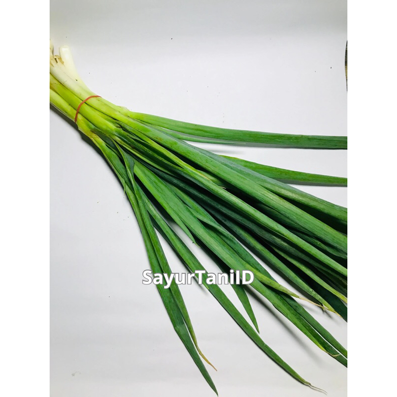 

Daun bawang/bawang daun